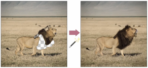 Magic Fixup: Adobe Is Revolutionizing Image Editing for Creative Professionals